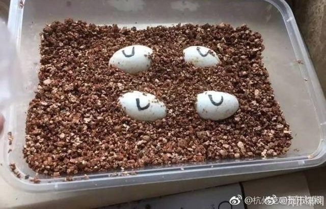 ���淨 ��ɽһ�������ڹ�