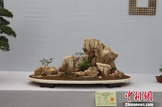 ����ĵ��ܡ�:�����ټ��辰����2017�����辰��Ʒչ