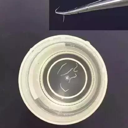 Ů������ȡ��6����棡��������ǵģ�����һ�н��������������