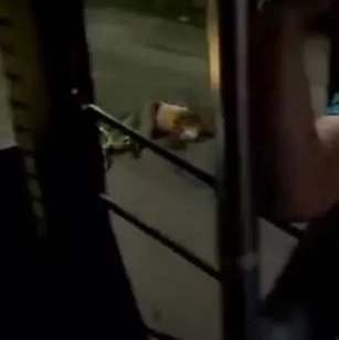 ������������ô����Ƽݣ���һ��������ô��������˾����