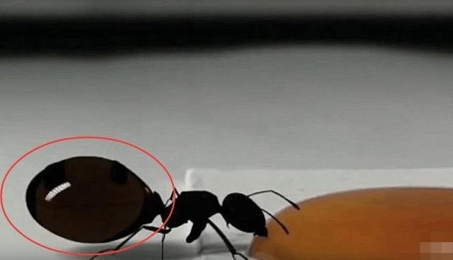 ���Ӹ��������Ϻȷ��ۣ����������棬���˸о�����˼��