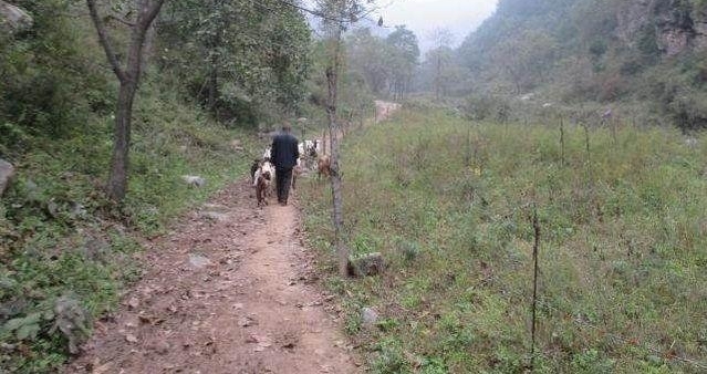 �������춪��׽��������׺�ȴ�ܺ��£��᲻�ᱻ����׷��