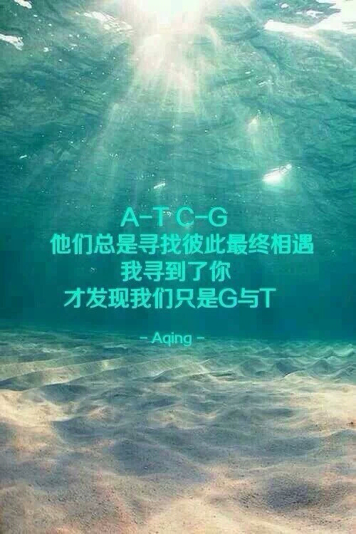 ܽеǽĨ,һᰮ