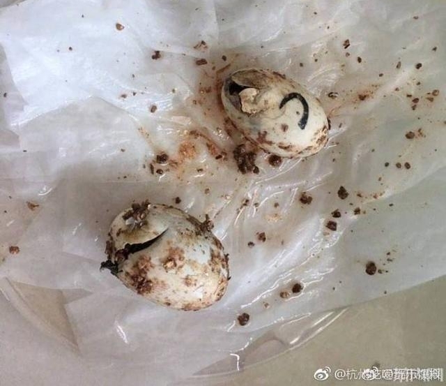 ���淨 ��ɽһ�������ڹ�