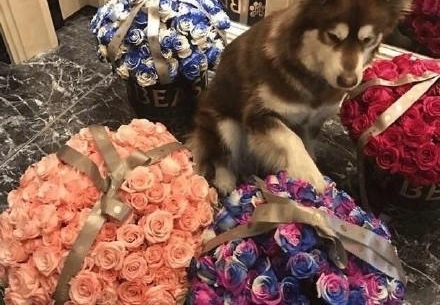 ��Ϧ��˼���Ϳɿ�õ�壬�ɿ����˼��£����׵�������