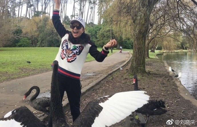 61岁刘晓庆游山玩水喂天鹅 活泼得像个小孩子