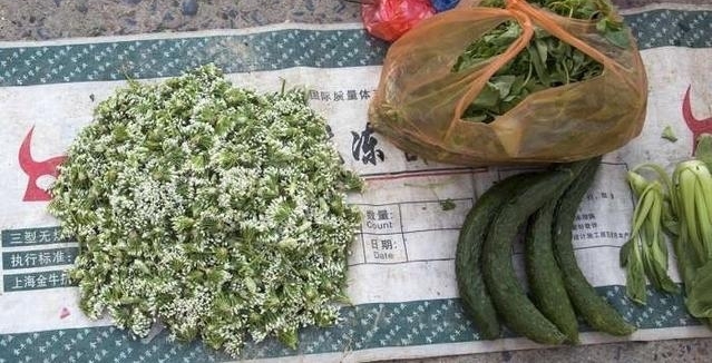 8Ѯ�������������Ĳˡ� ��Ҷ�е��ٳ��� �����Ĳ�Ǯ����������