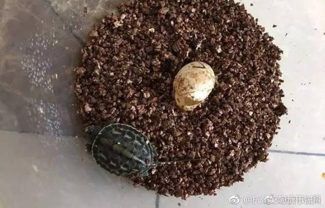 ���淨 ��ɽһ�������ڹ�