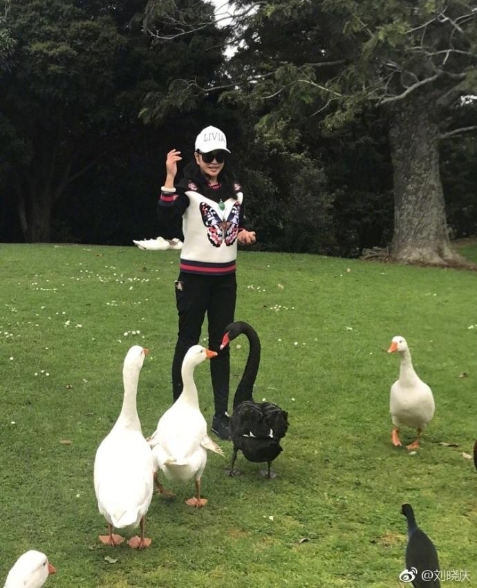 61岁刘晓庆游山玩水喂天鹅 活泼得像个小孩子