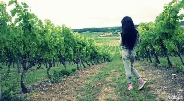 ˴۾Ŵޱ⣬7СҲкӦе