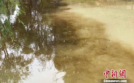 �ٷ���Ӧ�����ų�ˮԴ�䡰ţ�̳ء����ѵ��� �����ˮɫͻ��