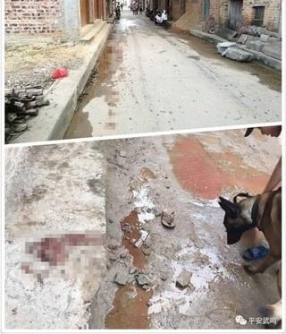 南宁武鸣八一凌晨突发两起命案 一男子喝酒聚会被捅身亡