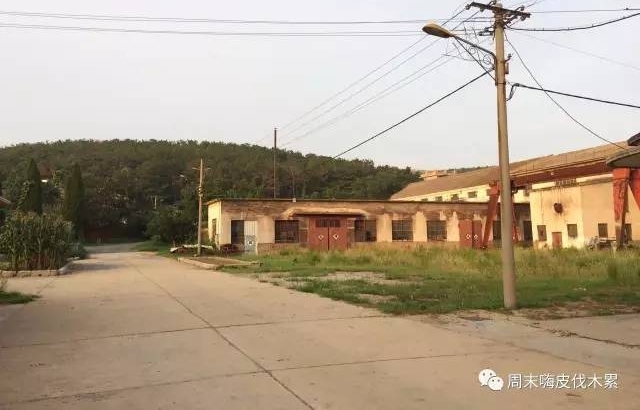 ս2Ʊ47ȫTOP100Щͷ˳ģ