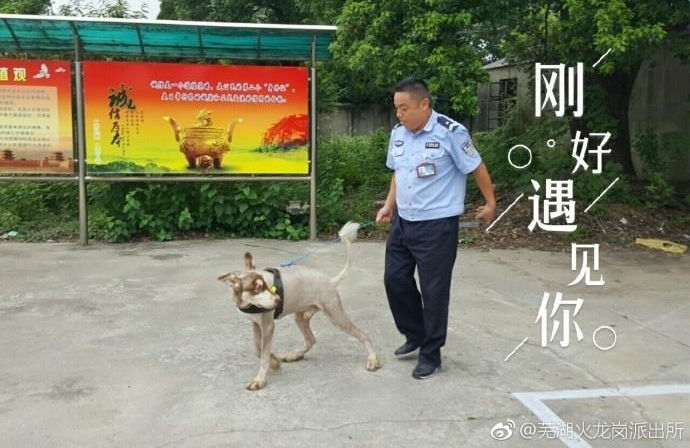 �ɳ��������߶�����ѵ���ɾ�Ȯ�����ȴ���η�������������