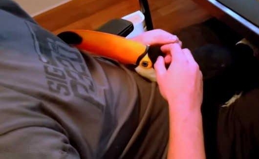 ����ΪС�ﱧ��С����ż �߽�һ����Ȼ�ǳ�������