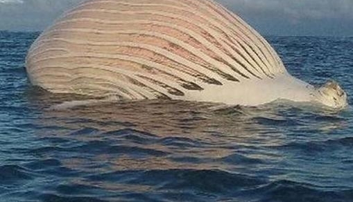 �Ĵ����Ǻ���������֡������������������������ʵ��