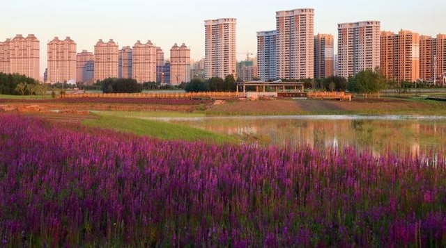 群力外滩,不是群力的外滩;它的美,同样属于你