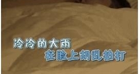 《极限挑战》为防沙溢悲剧再现黄渤一直照顾夏雨,夏雨沦为背景墙