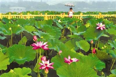 ��ú�����ر����羰��