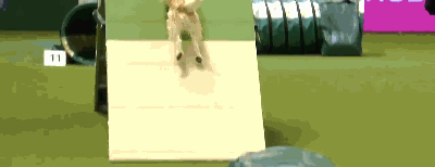 տʼͲҵһӣȴйڷ׷ֽк