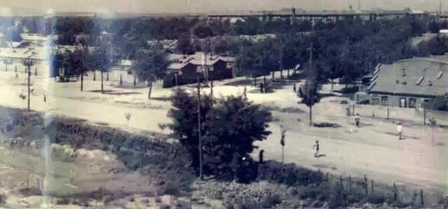 �ط����ֹ������´壬���������ʽ������Ϊ50�����ʷ�걾