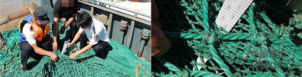 ȫ�濪�����磬���������洬����͵������ɽ����ץ����