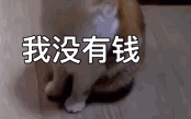�������ã��׶�԰��ѡͶƱ������Ǯ��Ʊ�� ������ٲ��������ӣ�