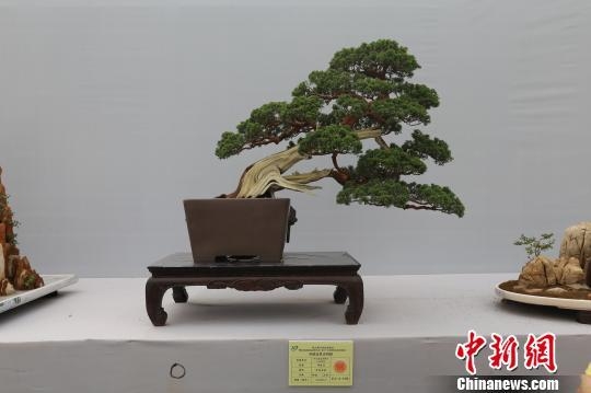 ����ĵ��ܡ�:�����ټ��辰����2017�����辰��Ʒչ