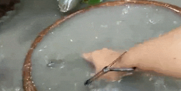 ����������ˮ��ץ�㣬��������һĻ�������β���