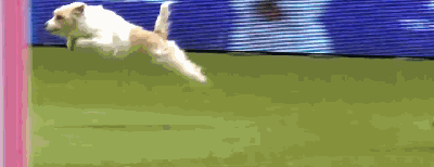 տʼͲҵһӣȴйڷ׷ֽк