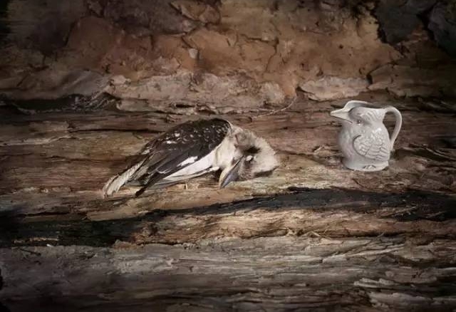 ��Щ�����ա������ģ���Ӱʦ��ʬ����ϲ���