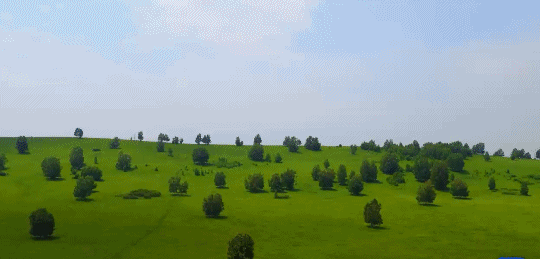 Ӣ��С�絽�ӱ������ӱ��� �������ջ���һ�������Ĺ���