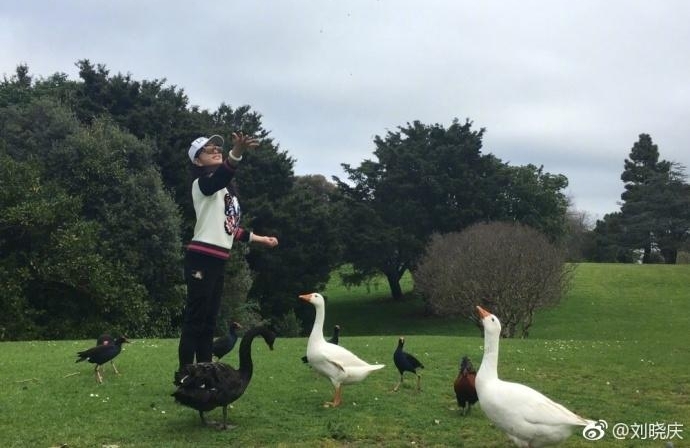 61岁刘晓庆游山玩水喂天鹅 活泼得像个小孩子