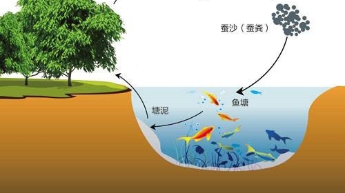 ��ũҵһֱ׬����Ǯ����������������������ũ��׬Ǯģʽֵ�òο�