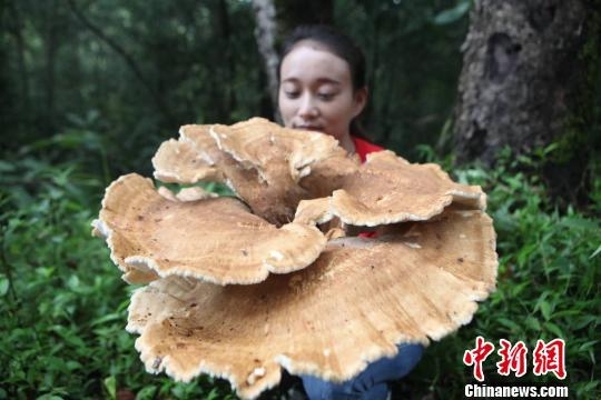 �����ն��������ؾ���Ģ�� ��С���������ܳ���1.8��