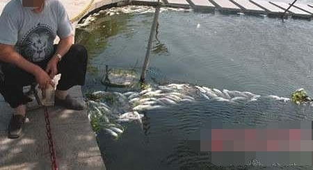 男子趁自家池塘没水跑去捞鱼,结果在池塘捡到宝!