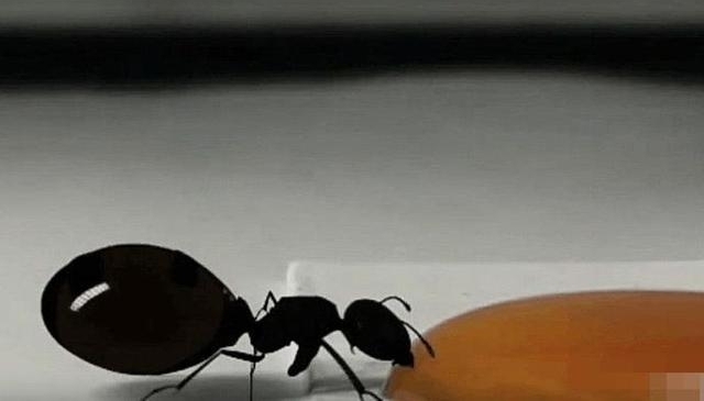 ���Ӹ��������Ϻȷ��ۣ����������棬���˸о�����˼��