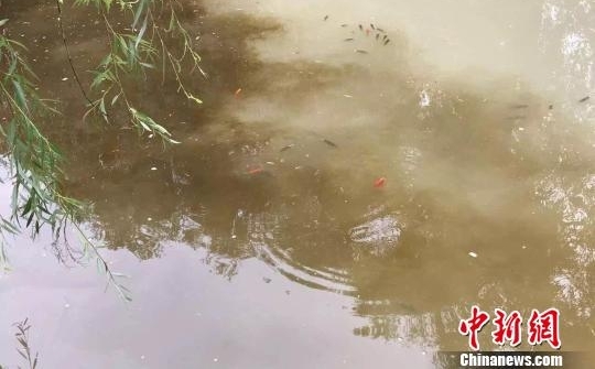 �ٷ���Ӧ�����ų�ˮԴ�䡰ţ�̳ء����ѵ��� �����ˮɫͻ��