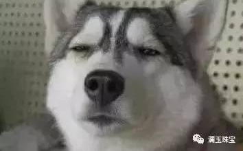 �����п��������ԭʯ��Ϊʲô����Ժ�о��⳥25��