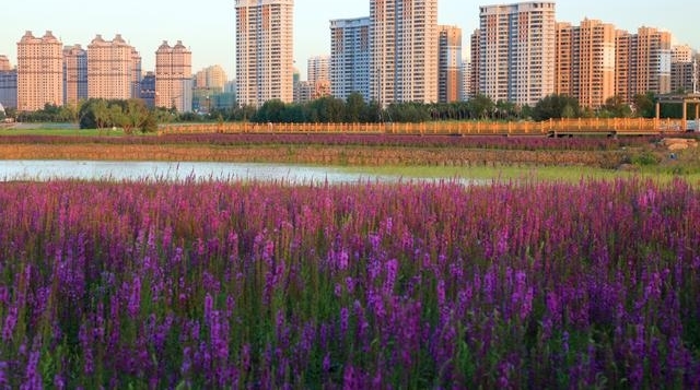 群力外滩,不是群力的外滩;它的美,同样属于你