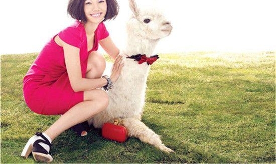 ΪĨھ᣿װٺαǷ15Ƶ