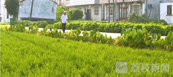 �Է�ͣ�ð�ա�͵������ʿ���� ������Ĺ70��
