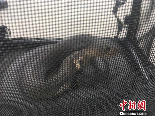 ��������һŮ�ӷǷ��չ��۾��߱�������Ԫ