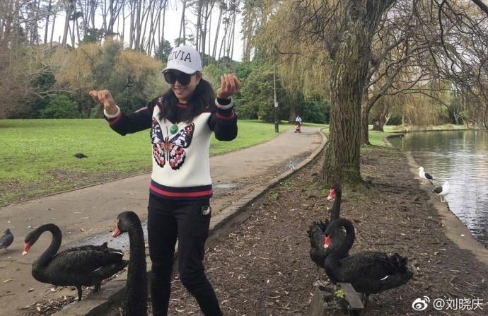 61岁刘晓庆游山玩水喂天鹅 活泼得像个小孩子