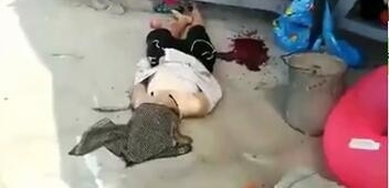�������Ͽ�ͧ��ʻ ��ͧ����·���� 5 ��