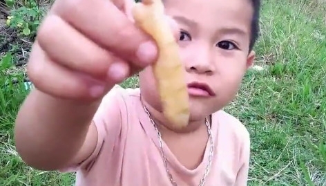 农村大哥发现奇怪小土堆,挖开一看,竟是高价难寻的野味