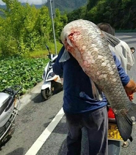 ���й�� �����50������