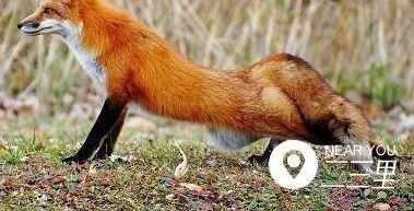 ����֮�ͣ����������С���й� ��ҵ�óԺú��ź�