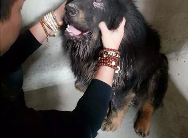 ������ �����Ҹ�����֪�������ڰ���