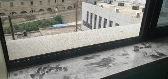 ����Ҫ���ʸ��������3�ξܾ�����ʹ���̺���¥����